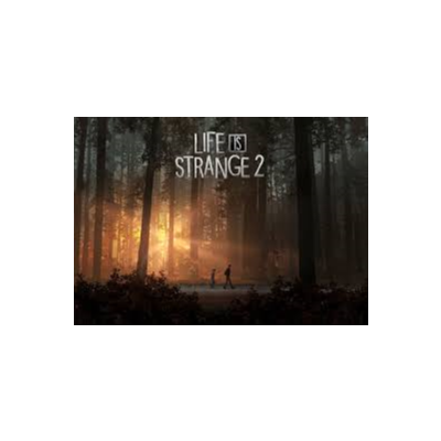 Life Is Strange 2 / П3 активация PS4