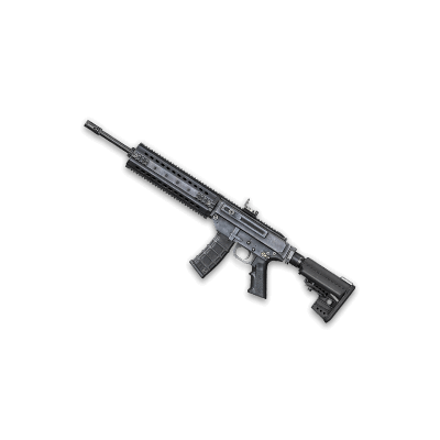 MPAR-556 (1 день)