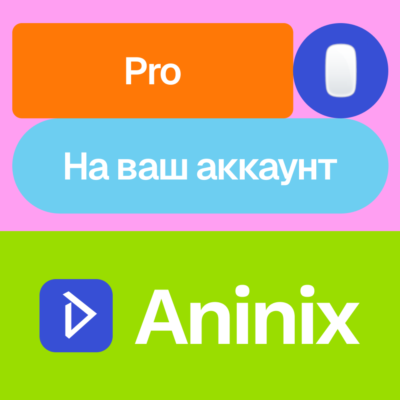 🖱️ Aninix Pro | Месяц, год | Без входа