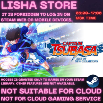 Captain Tsubasa Rise of New Champions Стим на 90 дней