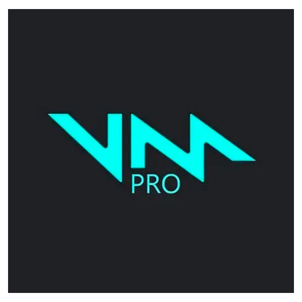 VOICEMOD PRO — НЕОГРАНИЧЕННАЯ ЛИЦЕНЗИЯ