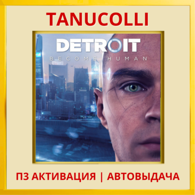 ☀️ Detroit: Become Human Детройт Стать человеком (PS4/PS5/RU) П3 - Активация