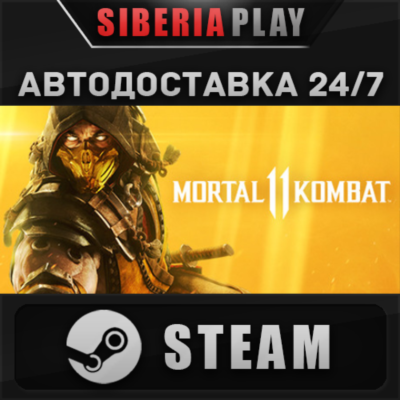 Mortal Kombat 11 STEAM АВТО RU/UA/KZ/СНГ