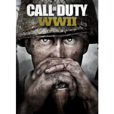 🔥Call of Duty WWll (steam)