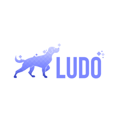 ludo.ai Indie/Pro Подписка на 1 месяц для вашего аккаун