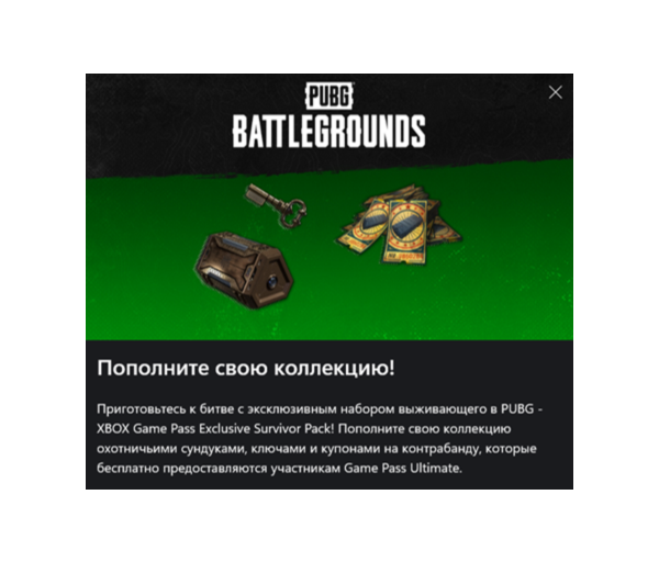 PUBG - 2025 Exclusive Survivor Pack #2