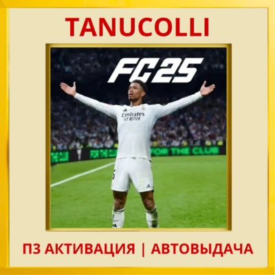 ☀️ EA FC 25 (FIFA 25) ФИФА (PS4/PS5/RU) П3 Активация