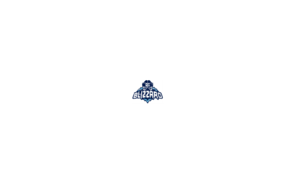 Blizzard Gift Card Канада 100 CAD | CA регион | Мгновенно