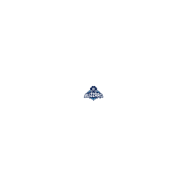 Blizzard Gift Card Канада 60 CAD | CA регион | Мгновенно