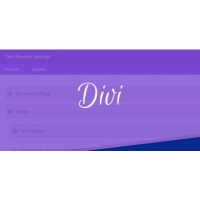 DIVI BOOSTER - оптимизатор DIVI BUILDER для WORDPRESS
