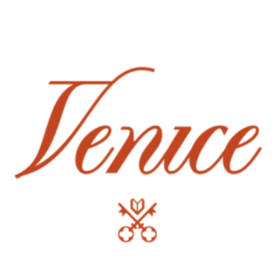 Venice AI — Pro/Pro+/Max подписка+пополнение