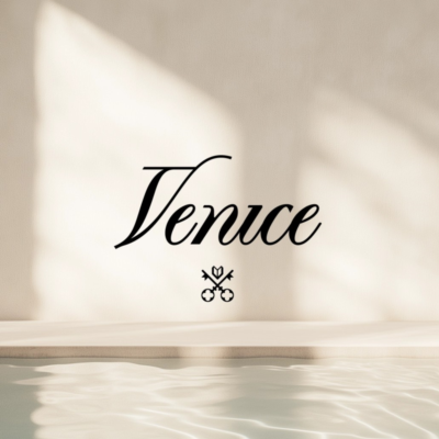 Venice AI - Pro/Pro+/Max  - 1 - 12 месяцев