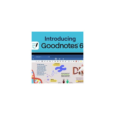 Goodnotes 6 PRO 1 ГОД iPhone ios AppStore iPad +