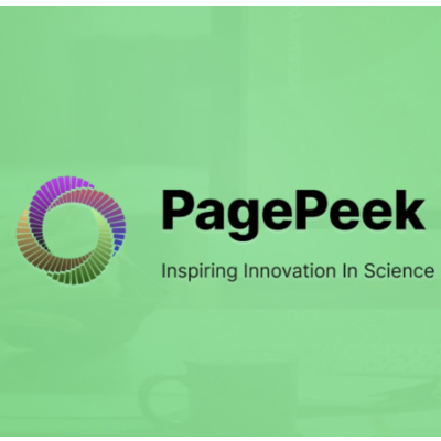 Pagepeek ai Starter/Premium подписка 1 месяц