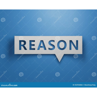 REASON+ подписка на 6 месяцев