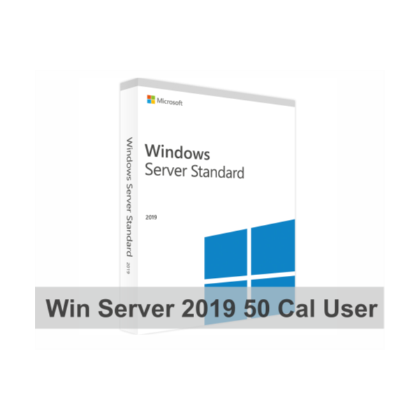 Microsoft Windows 2022 Server Standard CAL DEVICE