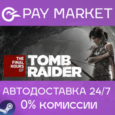 ⚡Tomb Raider - The Final Hours Digital Book |Steam АВТО