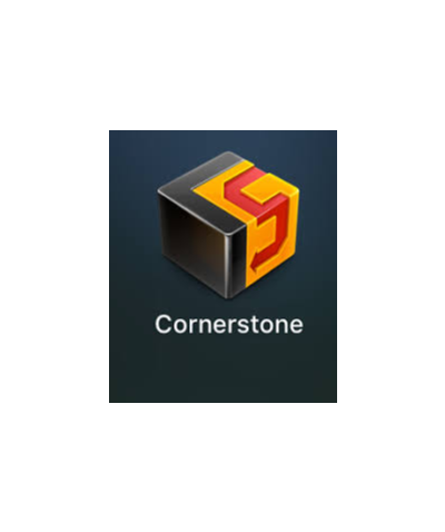 Версия 2 Критическая Subversion svn Cornerstone