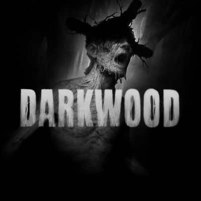 🍒 Darkwood PS4 PS5  П2 П3