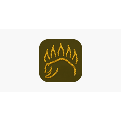 Knot IQ — Основы Bear Google plag
