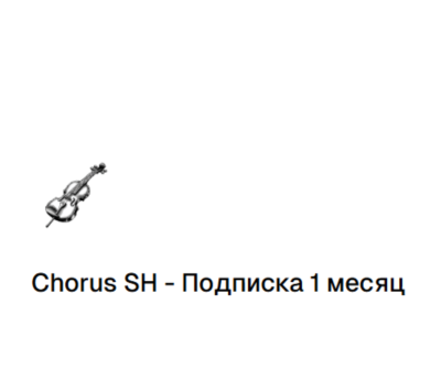 CHORUS SH ПОДПИСКА - 1 МЕСЯЦ