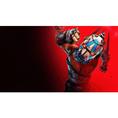Автовыдача • Borderlands 4 • [ONLINE STEAM] • Почта