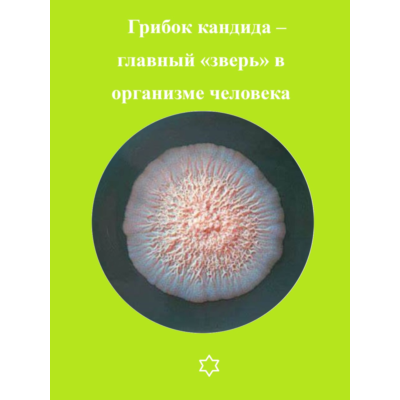Грибок кандида – главный «зверь» в организме человека