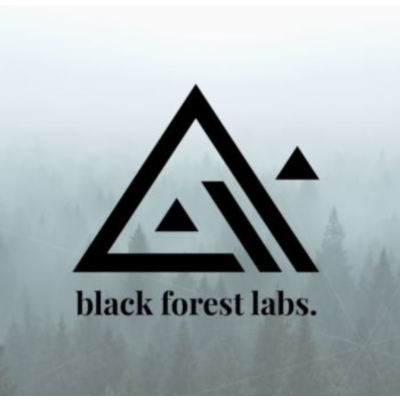 Black Forest Labs | BFL AI / КРЕДИТЫ