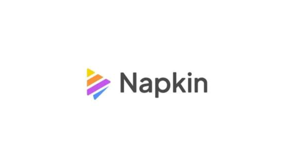Napkin ai plus/Pro Аккаунт подписки