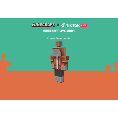 Minecraft Java & Bedrock Edition - Copper Core Twitch