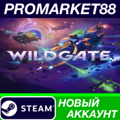 Wildgate Steam АККАУНТ НОВЫЙ +ПОЧТА