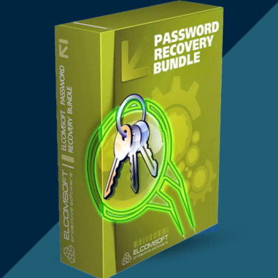 Password Recovery Bundle Enterprise (Lifetime / 1 PC)