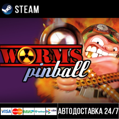Worms Pinball СТИМ Steam Gift