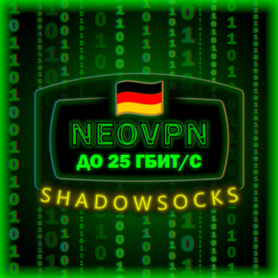 До 25 Гбит/с | Безлимит | Shadowsocks | до 6 месяцев
