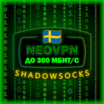 До 300 МБ/с | Безлимит | Shadowsocks | до 6 месяцев