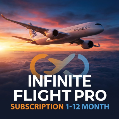 Infinite Flight Pro Подписка 1-12 Мес Аккаунт