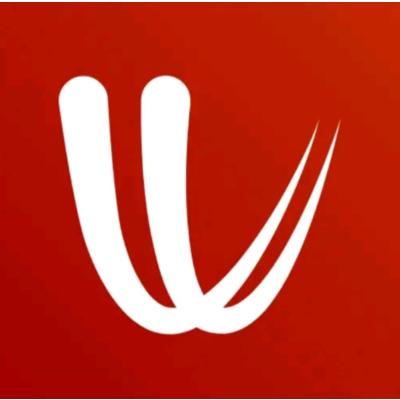 Подписка на премиум-аккаунт Windy.com на 1 год