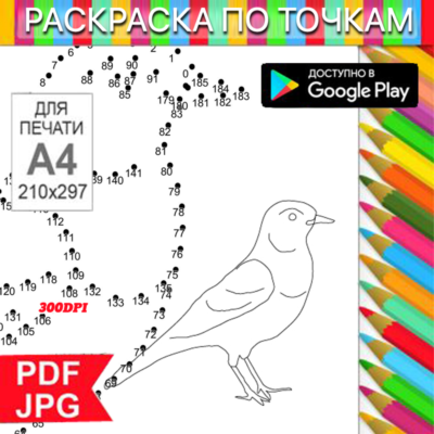 Птица Раскраска По точкам Антистресс для распечатки на принтере и Android