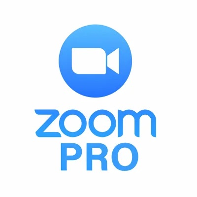 Zoom Workplace PRO 100 Pts (1–12 месяцев) – Быстрая доставка | Лучшая цена