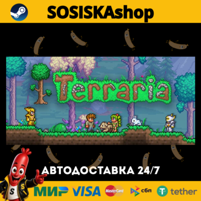 Terraria + ВЫБОР РЕГИОНА STEAM