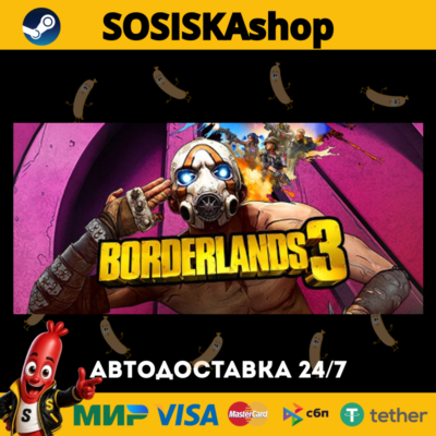 Borderlands 3 + ВЫБОР РЕГИОНА STEAM