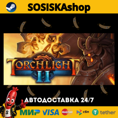 Torchlight II + ВЫБОР РЕГИОНА STEAM