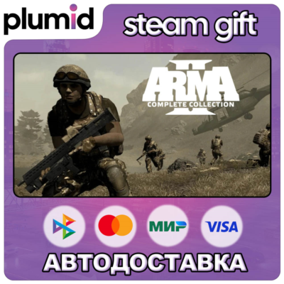 Arma 2: Complete Collection Steam Gift / Россия + МИР / АВТО