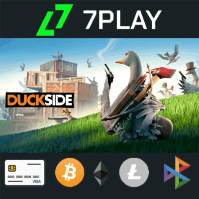 Duckside - Оффлайн Steam [24/7]