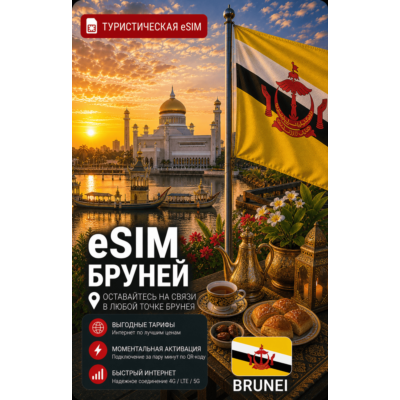eSIM БРУНЕЙ | МОБИЛЬНЫЙ ИНТЕРНЕТ БЕЗ РОУМИНГА