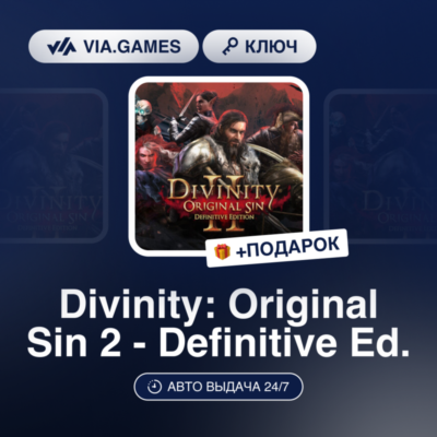 Divinity: Original Sin 2 Definitive Edition (GOG Ключ) РФ-СНГ-МИР + ПОДАРОК