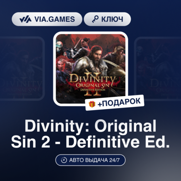 Divinity: Original Sin 2 Definitive Edition (GOG Ключ) РФ-СНГ-МИР + ПОДАРОК
