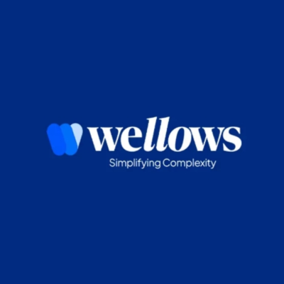 🟦 Wellows ✅ Подписка Pro на 7 дней