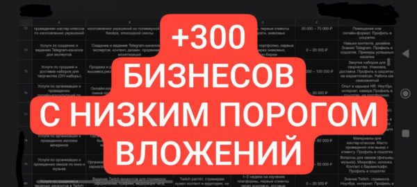 300+ бизнесов с малыми вложениями