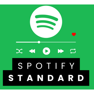 🟢🚀 SPOTIFY STANDARD 12 МЕСЯЦЕВ  НА ВАШ АККАУНТ 🟢